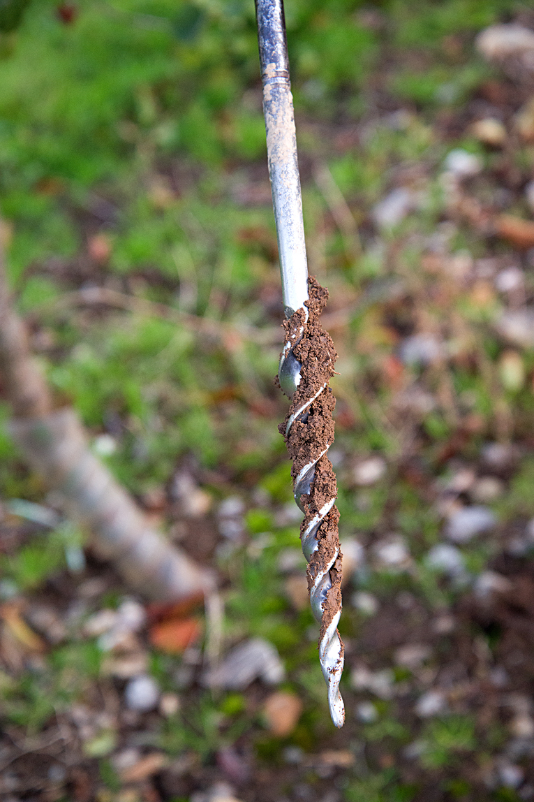 Brogdale: a soil sample