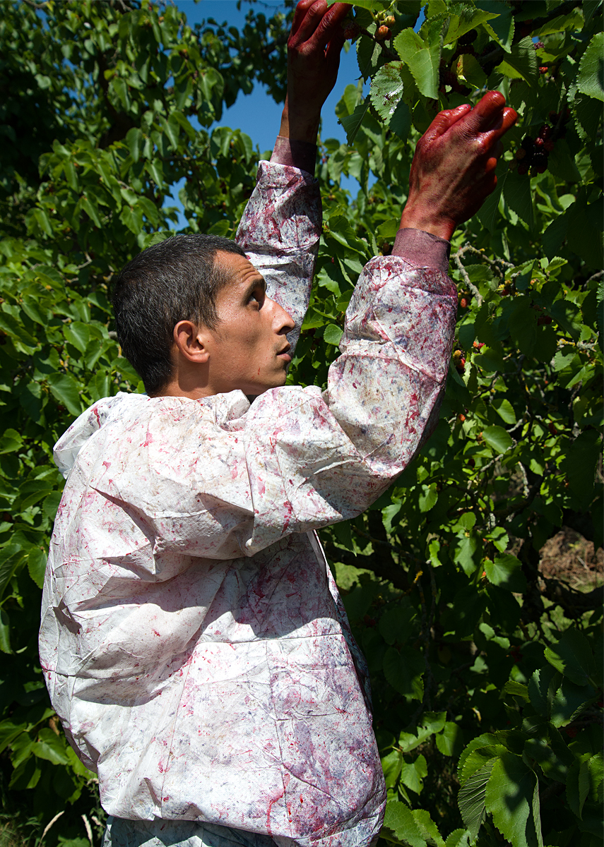 Tiptree: fruit picker