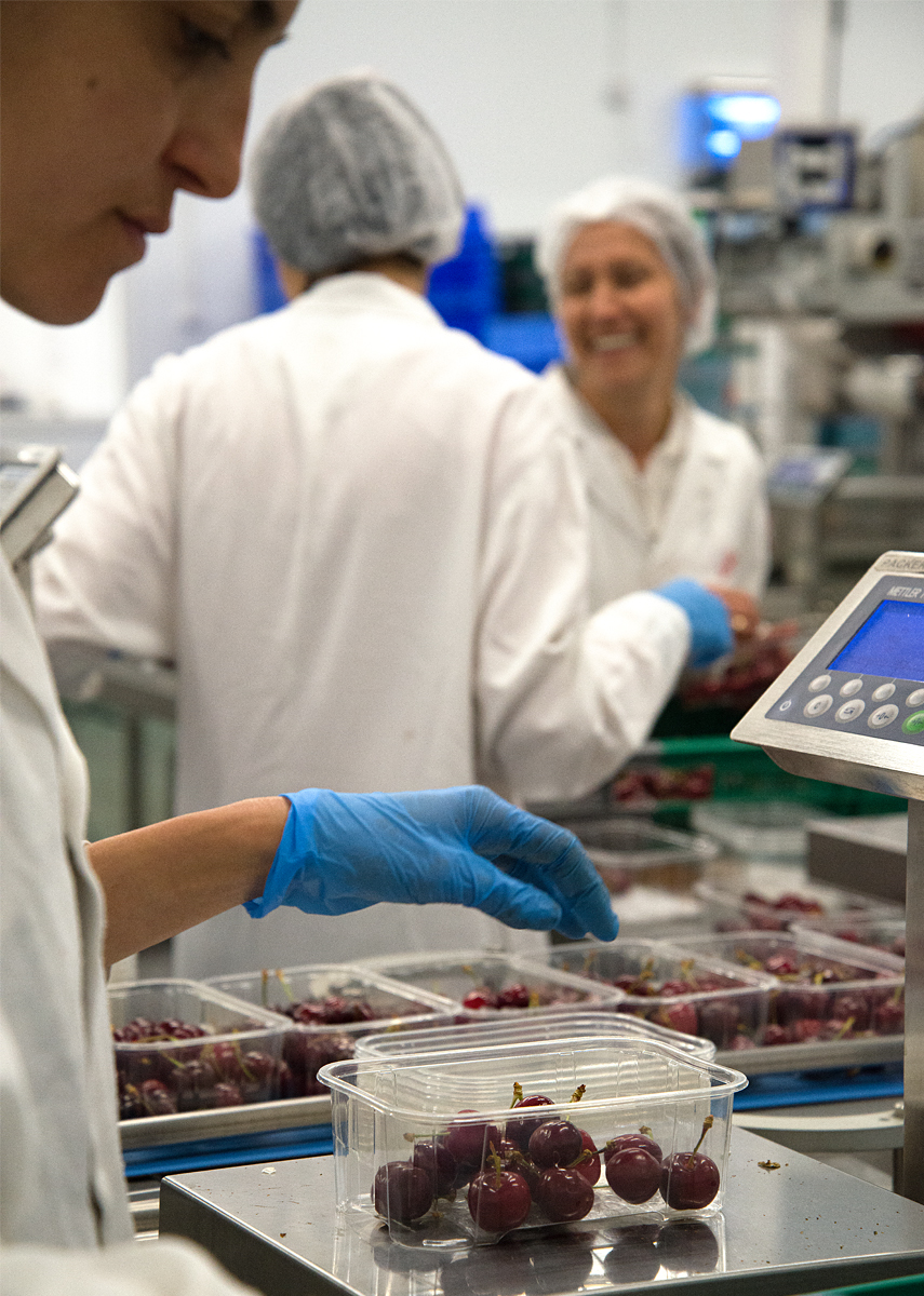 Tiptree: in the packing house