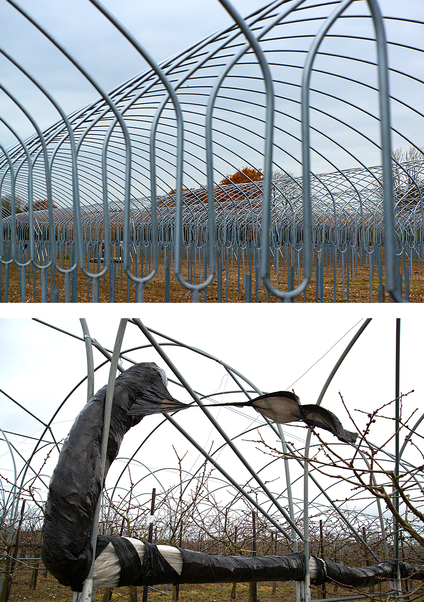 polytunnels