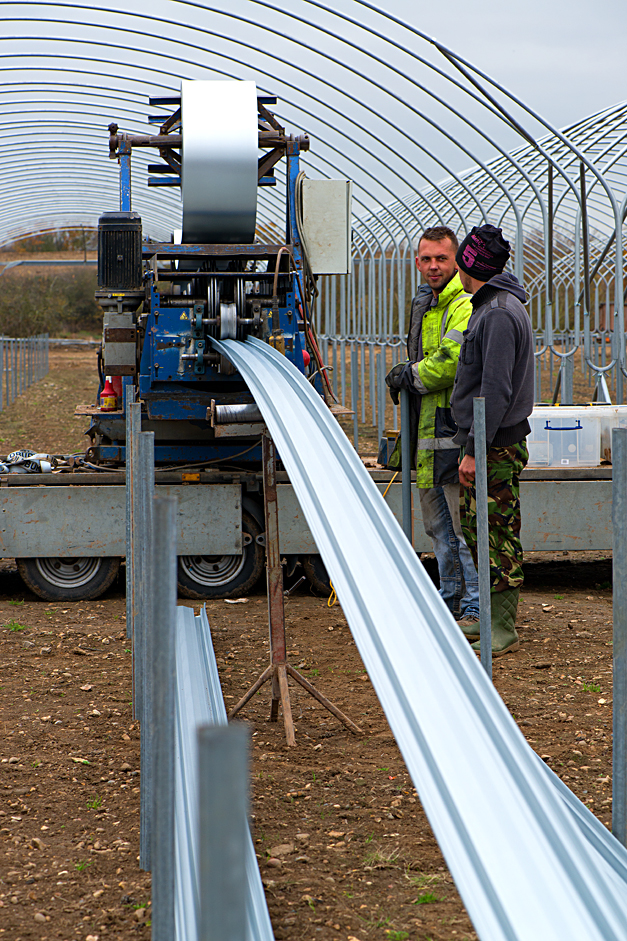 Tiptree: building polytunnels