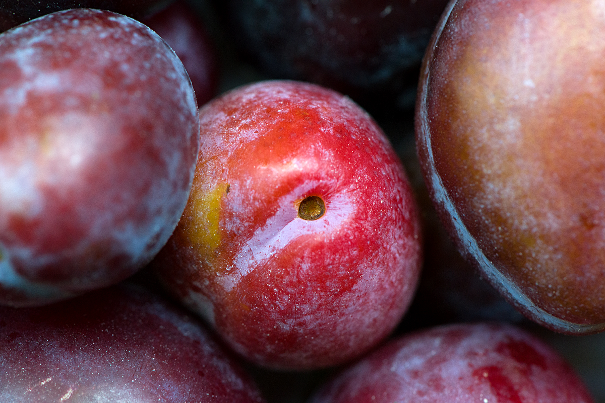 glorious plums