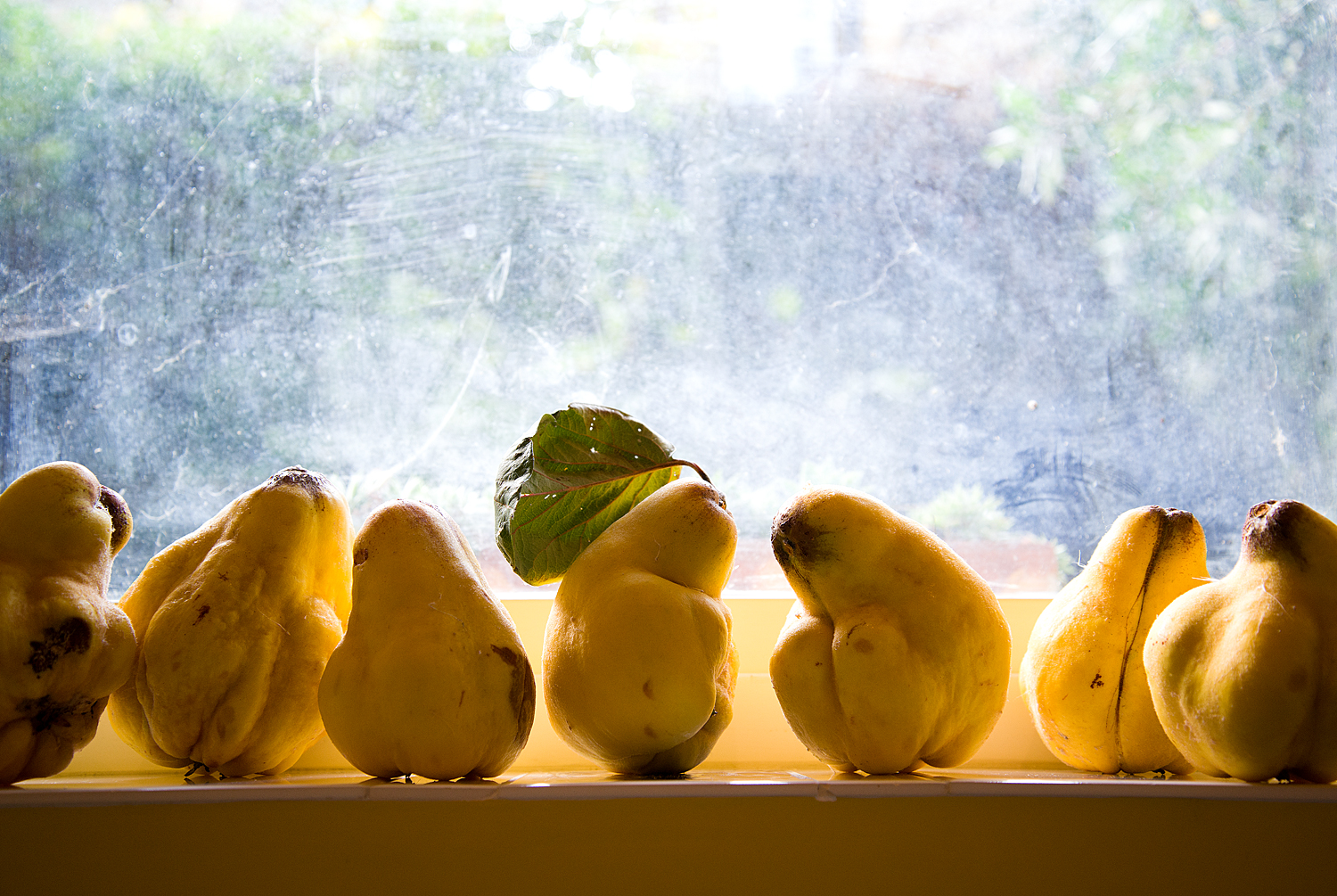 a quinces gathering