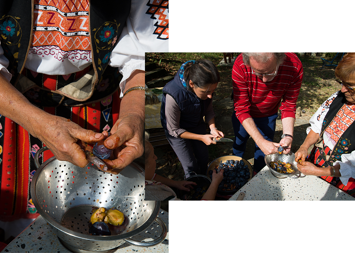 Bulgaria: preparing the plums