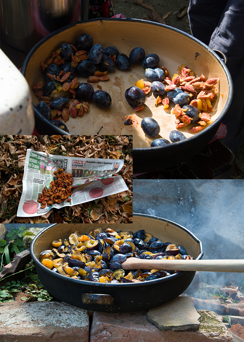 Bulgaria: preparing the plums