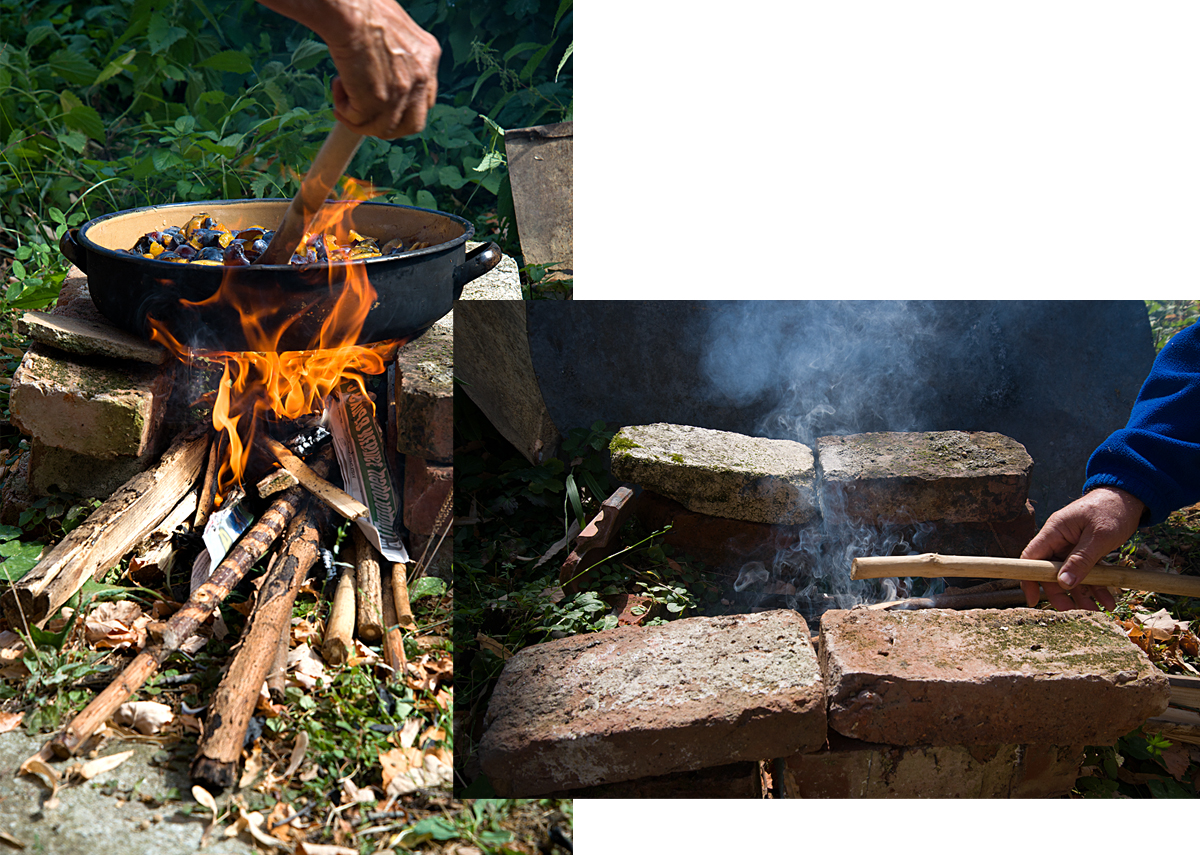 Bulgaria: cooking the plums