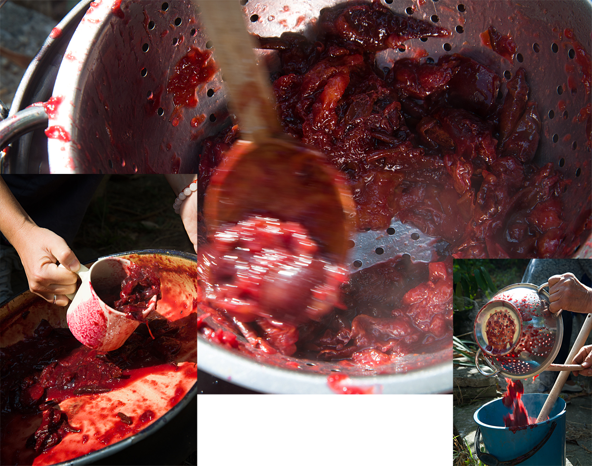 Bulgaria: sieving the plums