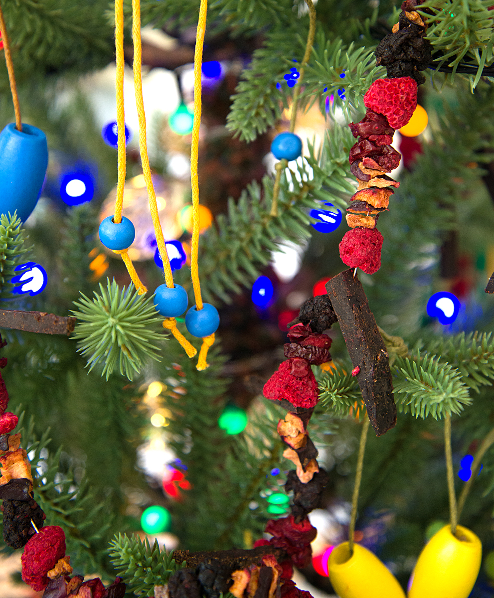 dried fruit garlands